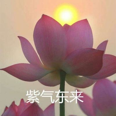 玄元剑仙7725版下载